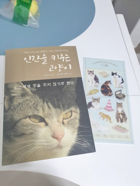 (주)송방 이미지