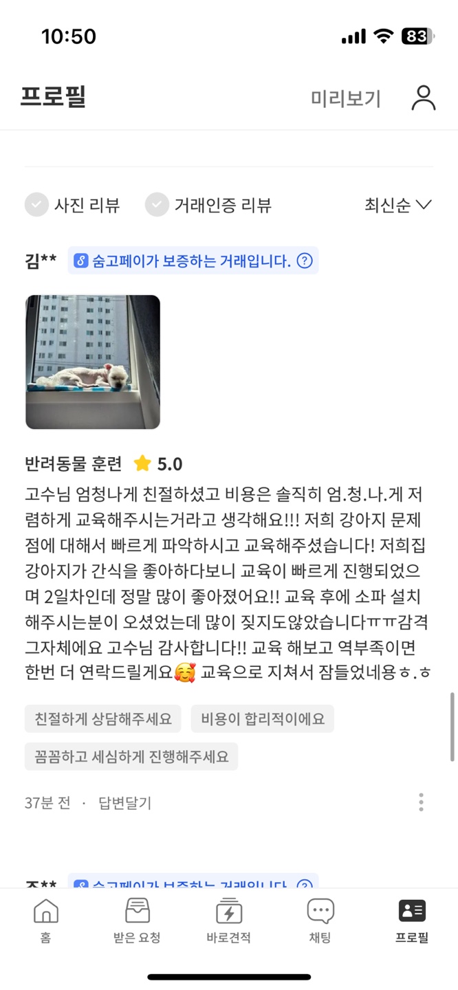 해피독반려견방문교육 이미지
