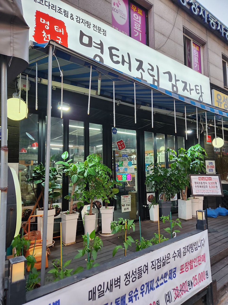 명태천국 이미지