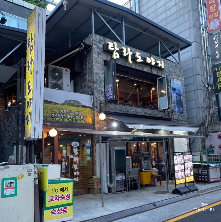 탐라도야지2 이미지