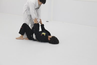 팀루츠 이미지