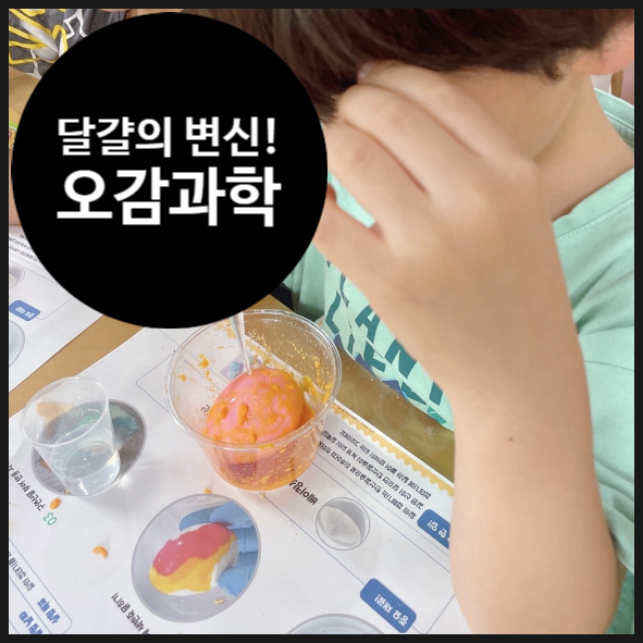 오해피데이지 이미지