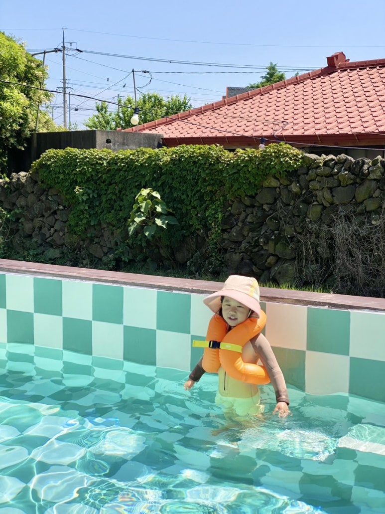 제주조우아조수 이미지