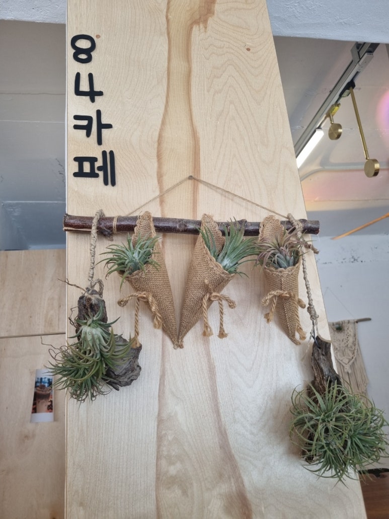 팔포커피 이미지