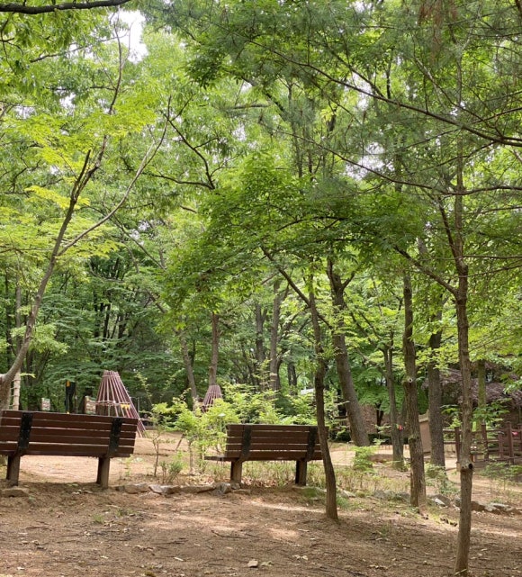 오목문화 유아숲체험원 이미지