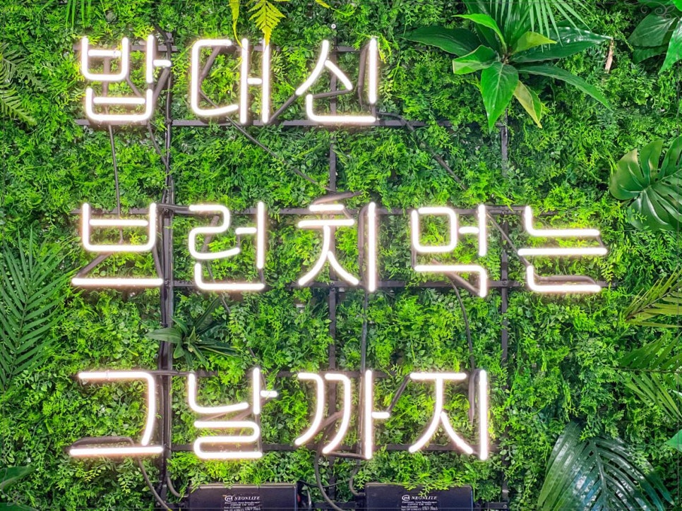 더브런치하우스 이미지