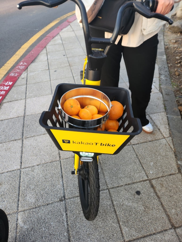 양푼속닭한마리 이미지