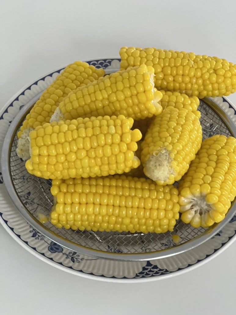 콜로라도빈대떡 이미지