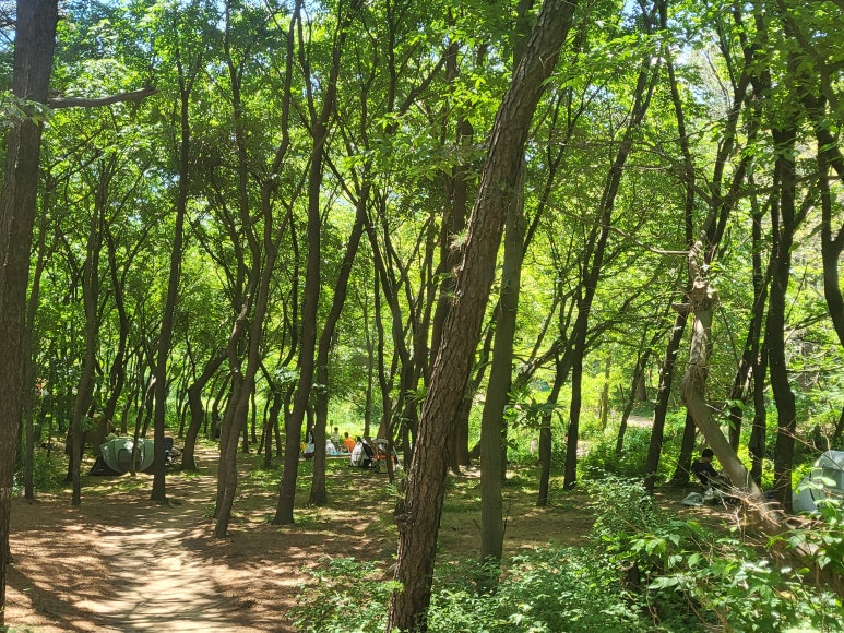 빨간집야영장 이미지