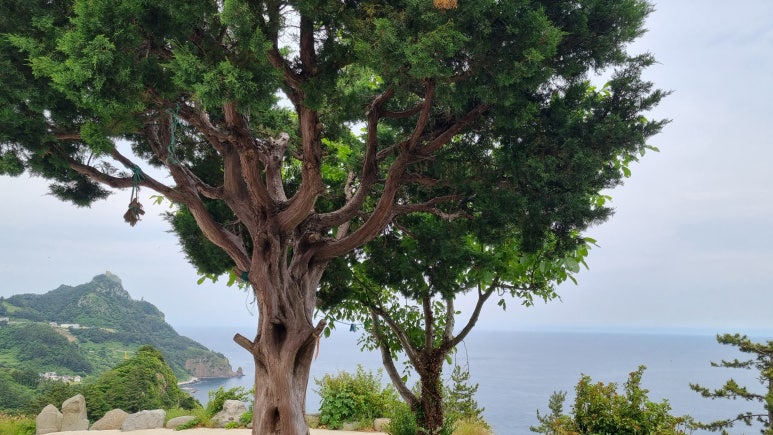 옥천풍경 이미지