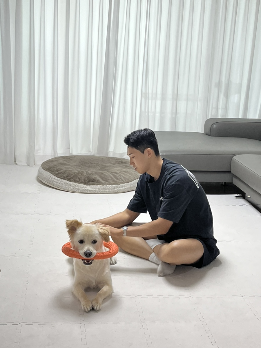 로이덕 이미지