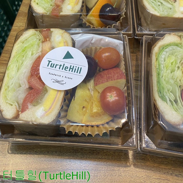 터틀힐 이미지