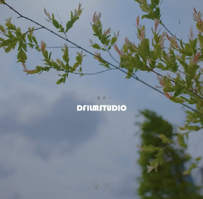 디스튜디오 이미지