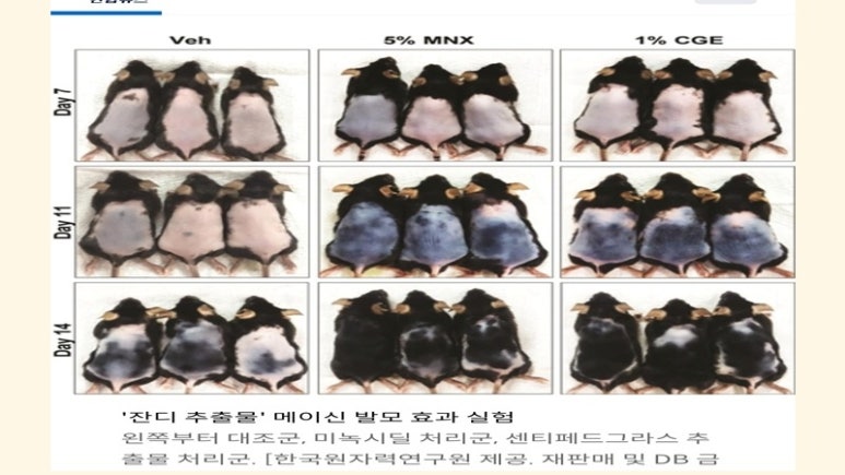 초록소비 이미지