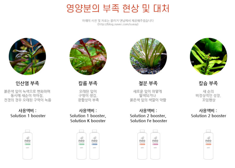 네오솔루션 이미지