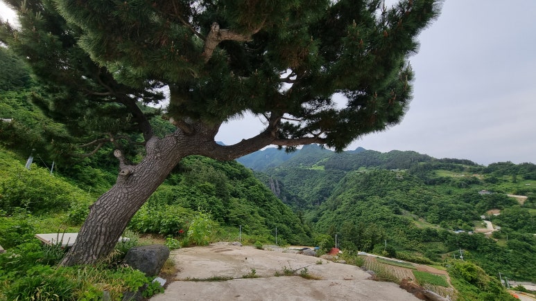 옥천풍경 이미지
