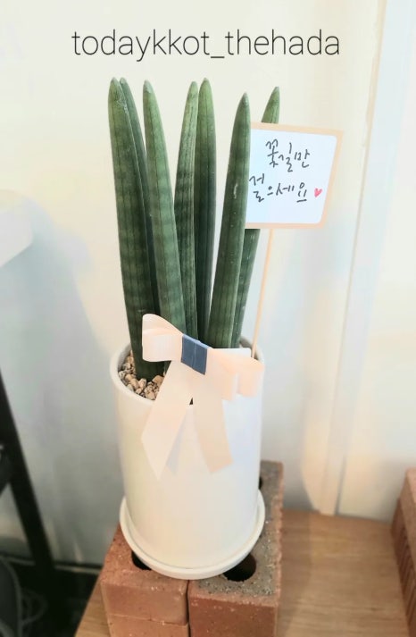 송송디저트 이미지