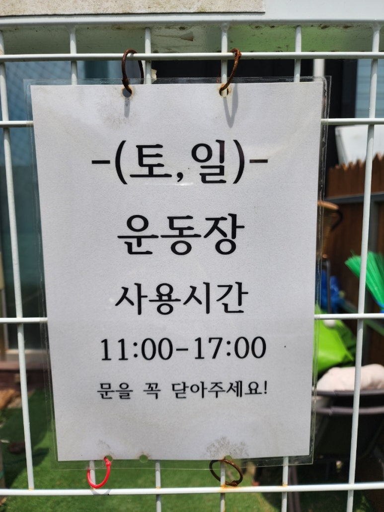 독스아일랜드 이미지