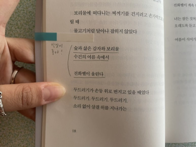 삶은감자(감자숲) 이미지