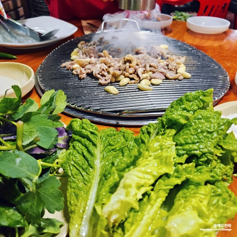 웰빙오리농원 이미지