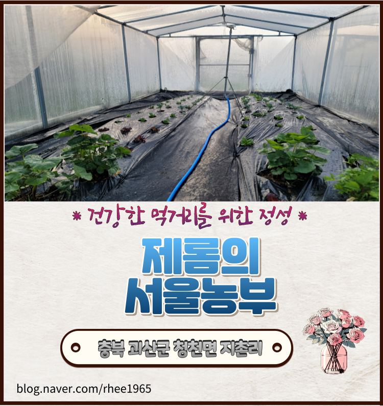 괴산야채 이미지