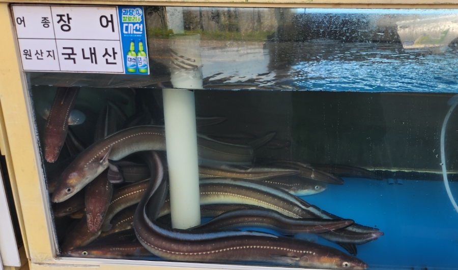 서광장어구이 이미지