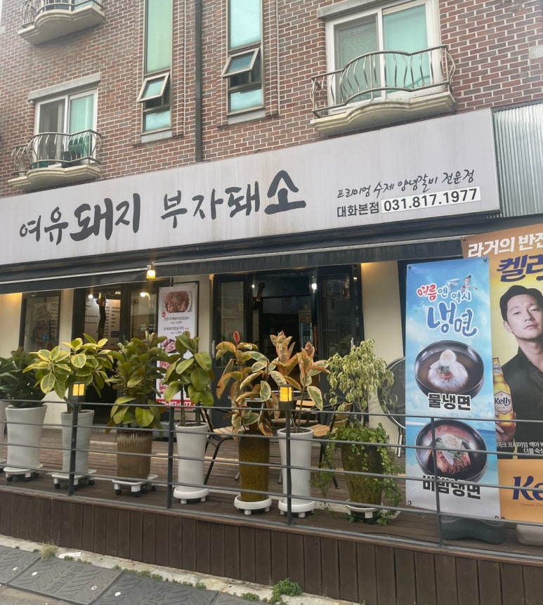여유돼지부자돼소 이미지