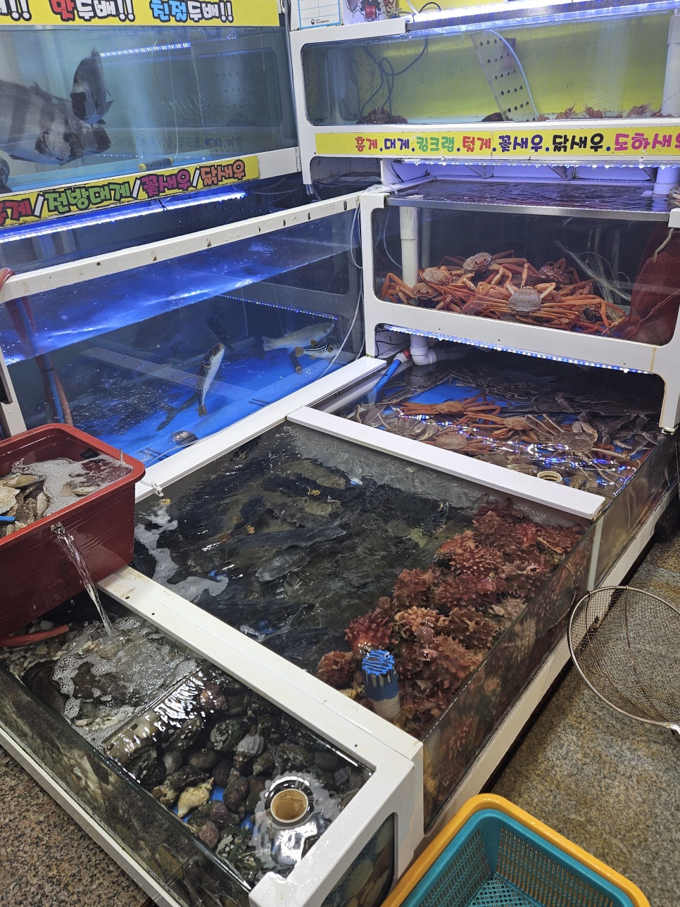 쌍둥이네식당 이미지