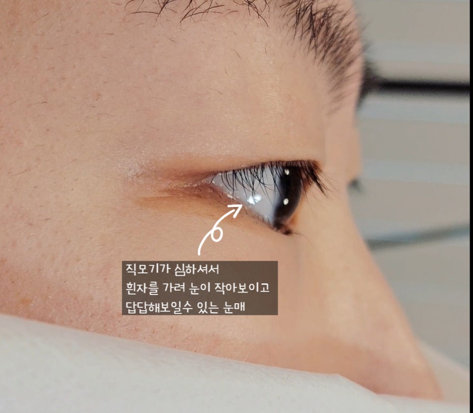 의정부속눈썹 제이앤래쉬 이미지