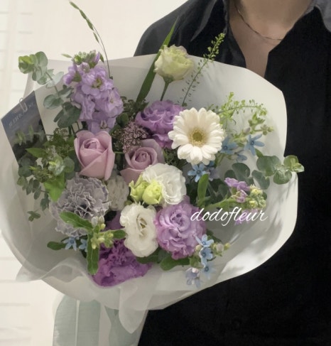 도도플레르 이미지