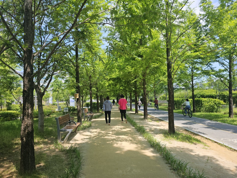 세종소방서(보람119안전센터) 이미지