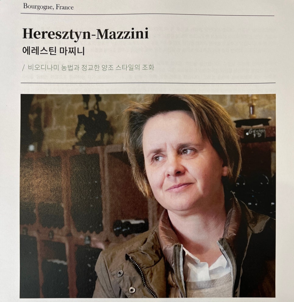 샵와이너 이미지