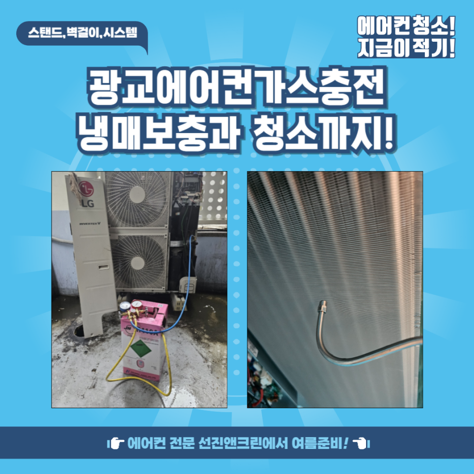 선진앤크린 이미지