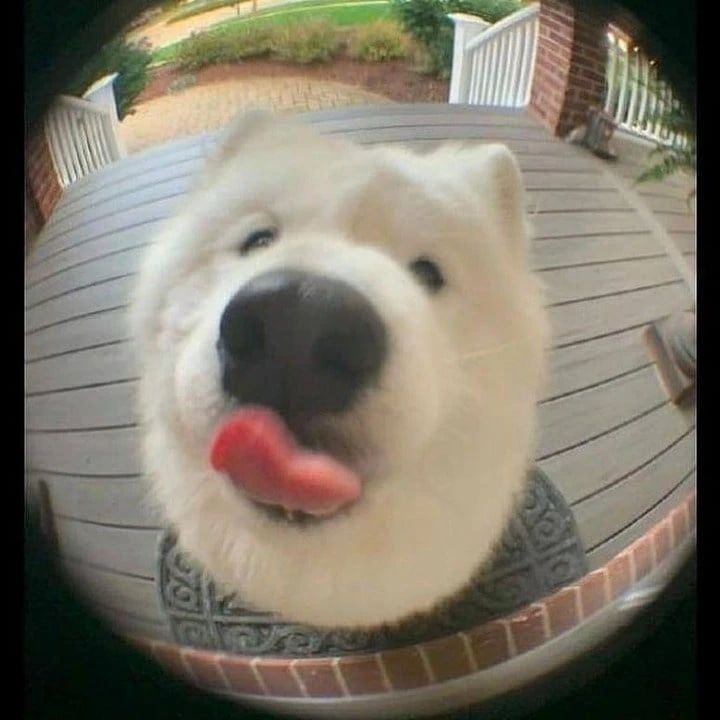 브레드리스트 이미지