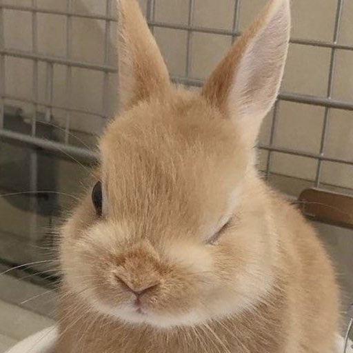 별담국수 이미지