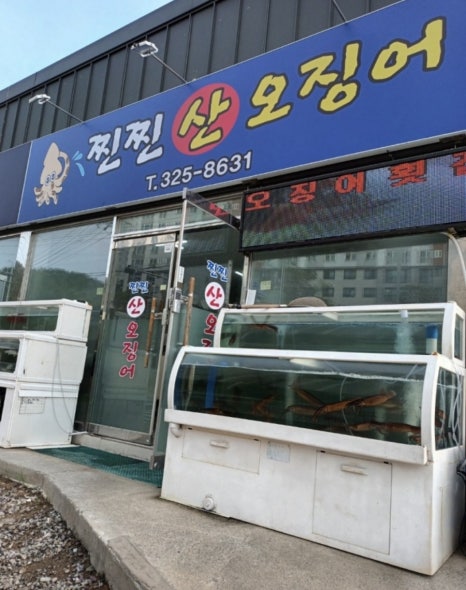 찐찐산오징어 이미지