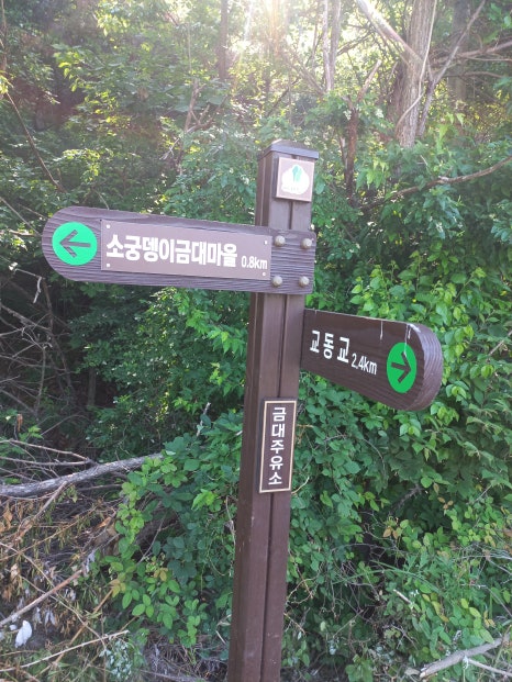 금대주유소 이미지