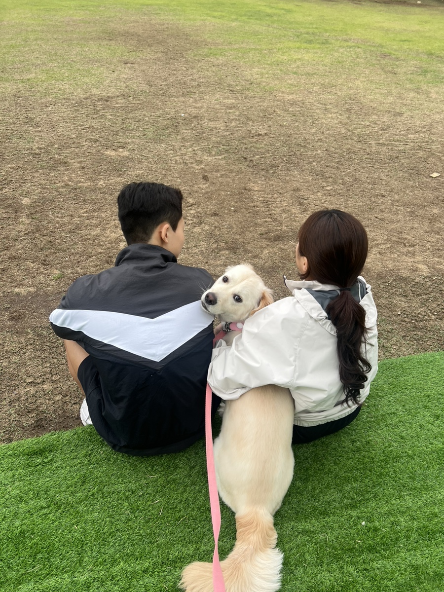 로이덕 이미지