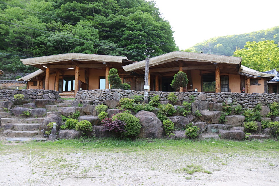 산골산내음 이미지