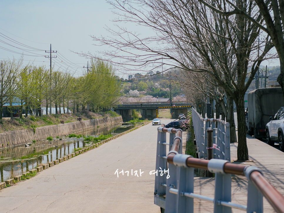 카페공오공삼 이미지
