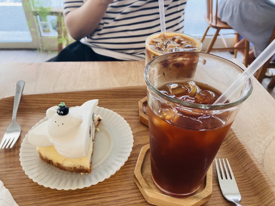 코이크 사진 2