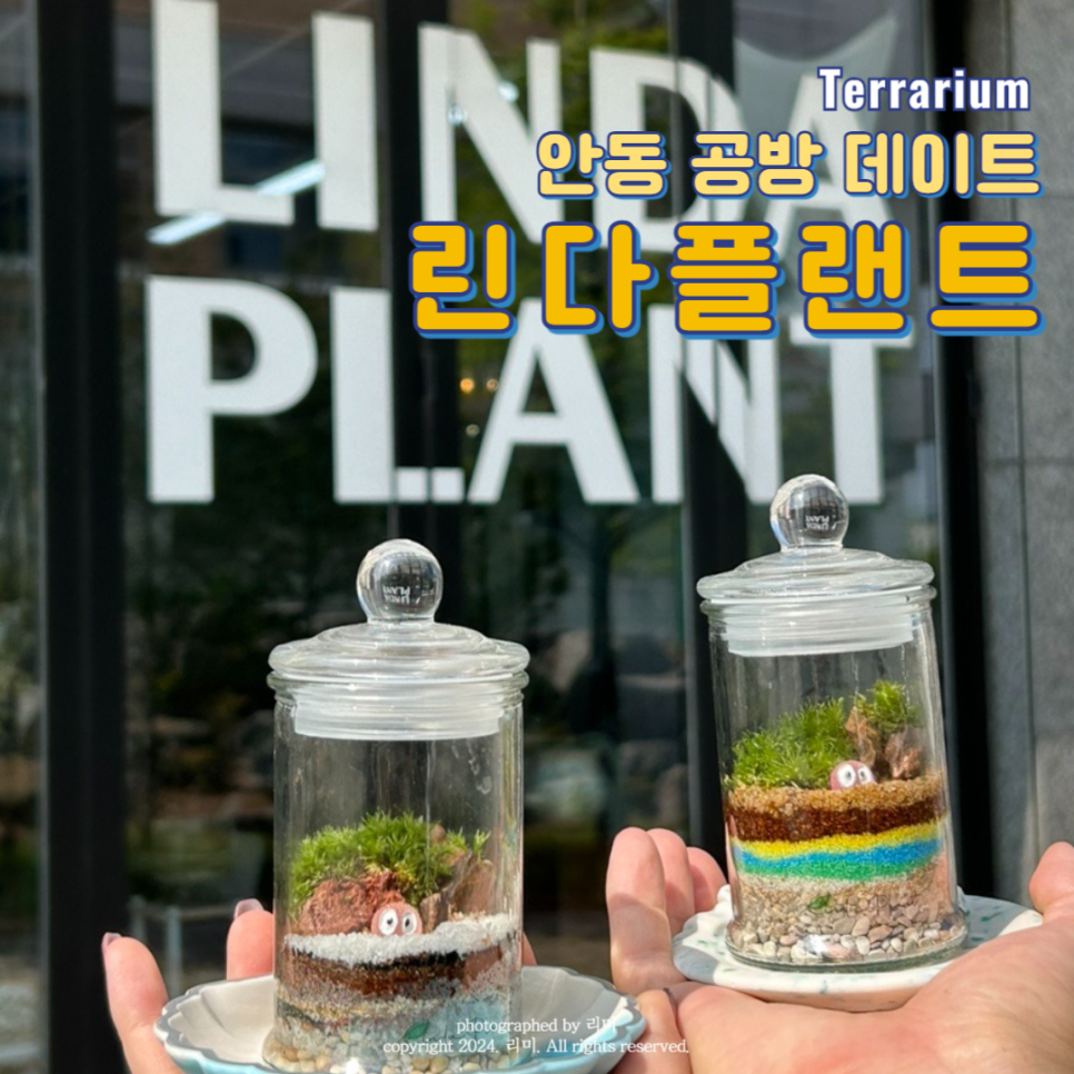 린다플랜트 이미지