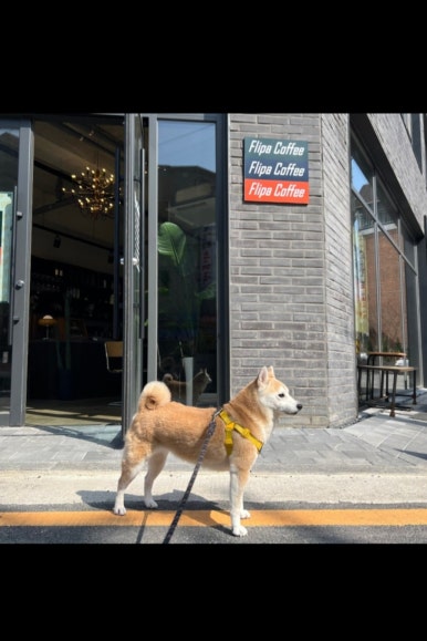 플리파커피 이미지