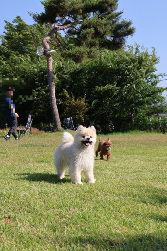 고고독 이미지