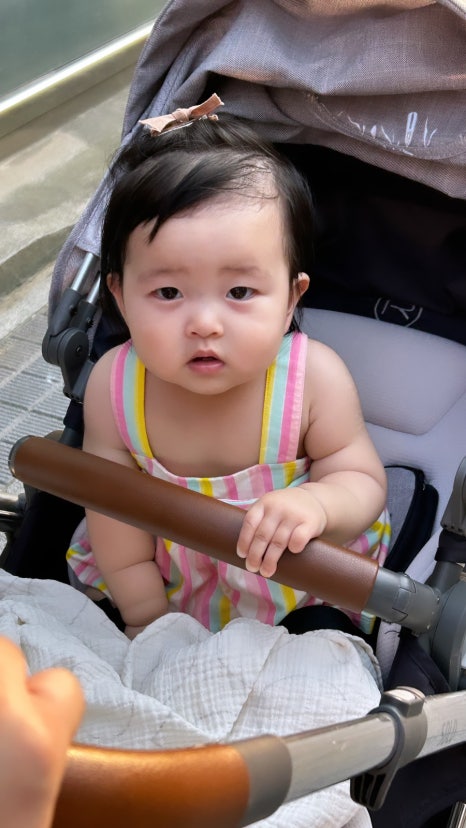 로플로플 이미지