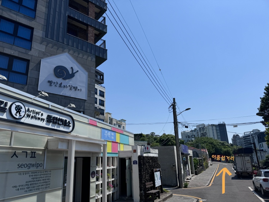 빨간모자달팽이 이미지