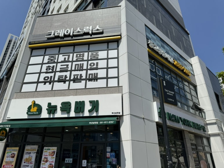 럭스그레이스 이미지