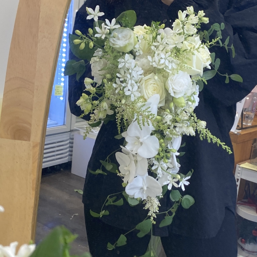 파티오브혜나 이미지