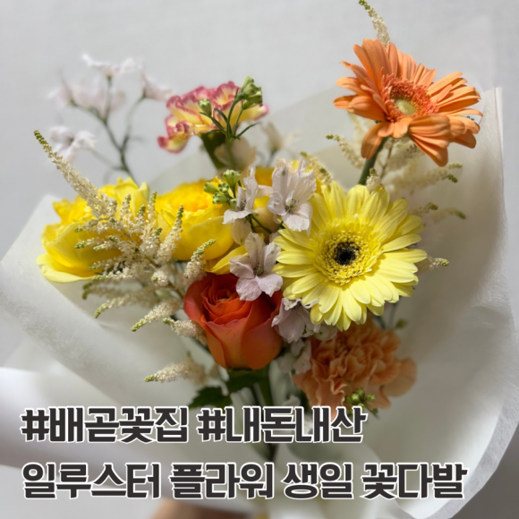 일루스터플라워 이미지