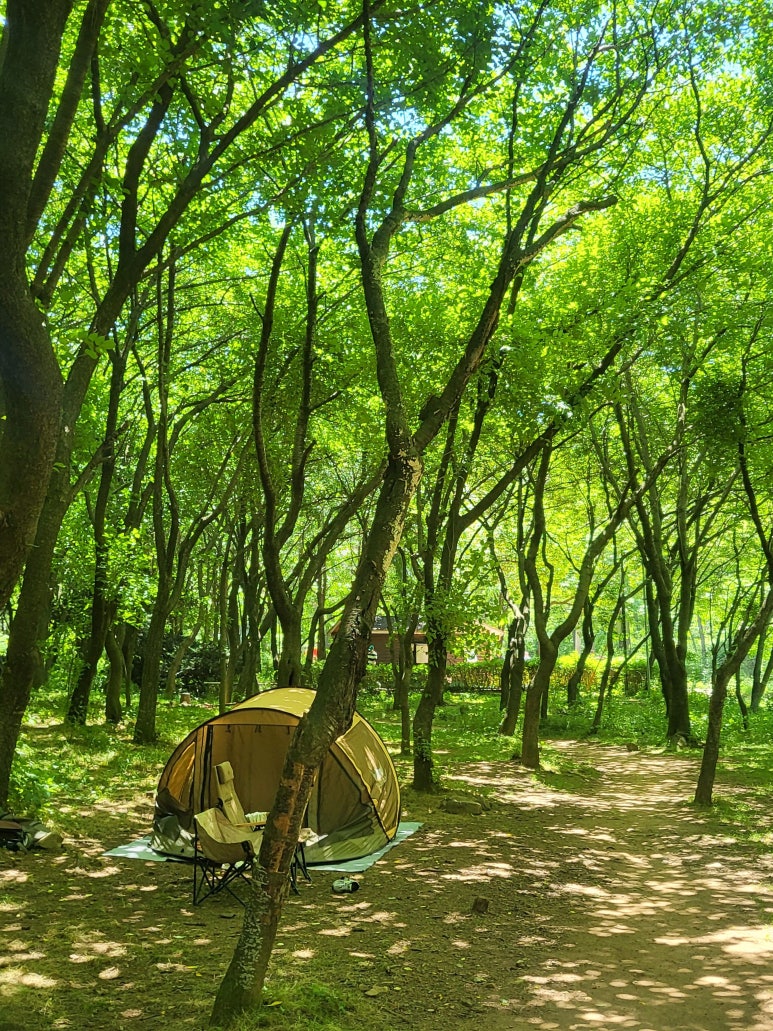 빨간집야영장 이미지